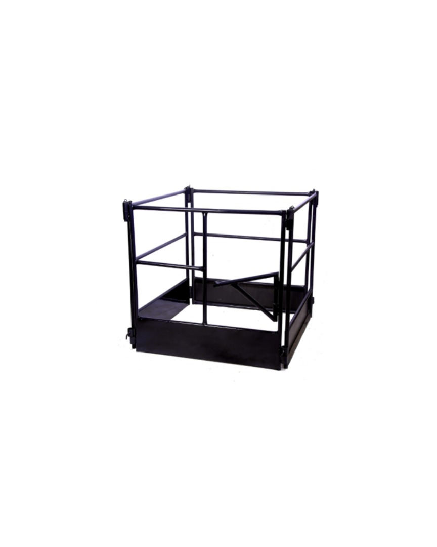 CONJUNTO GUARDA CORPO COM PORTA